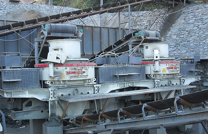 chop palm machine crusher